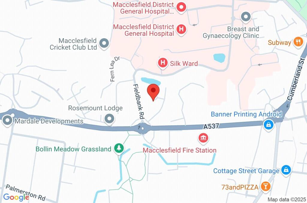 Google Maps Image