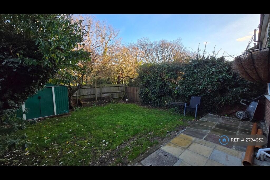 Back Garden