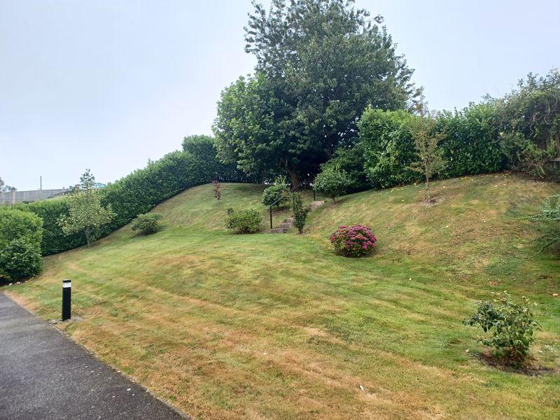 Communal Gardens