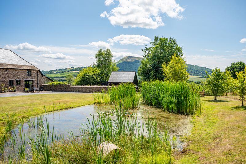 Garden and Views