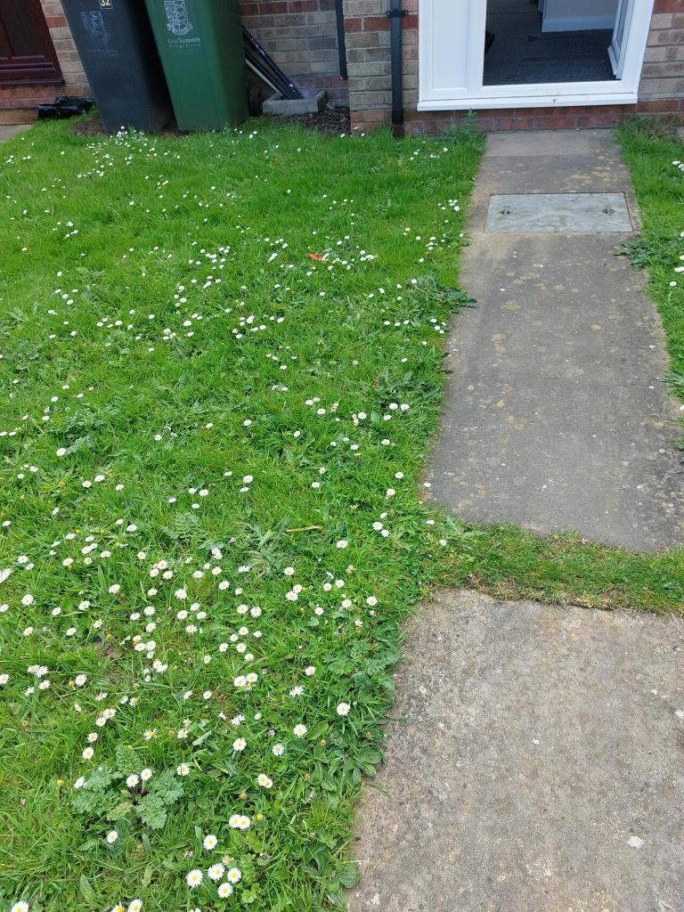 Front garden