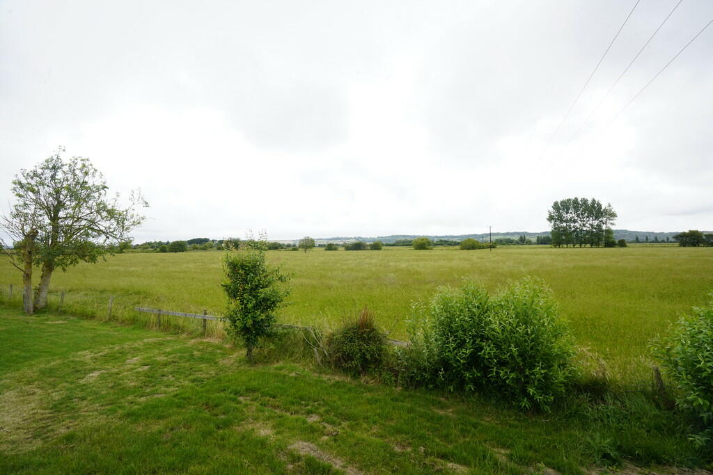 PIC31