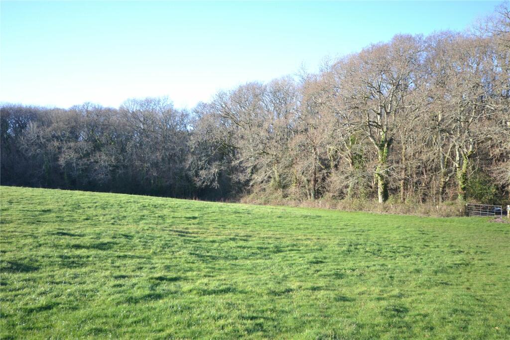 The Land