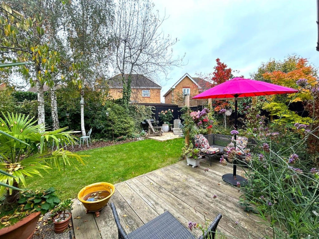 The Rear Garden