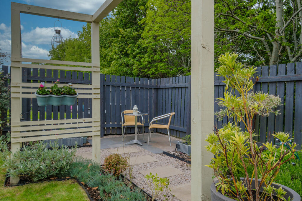 Patio alternative view