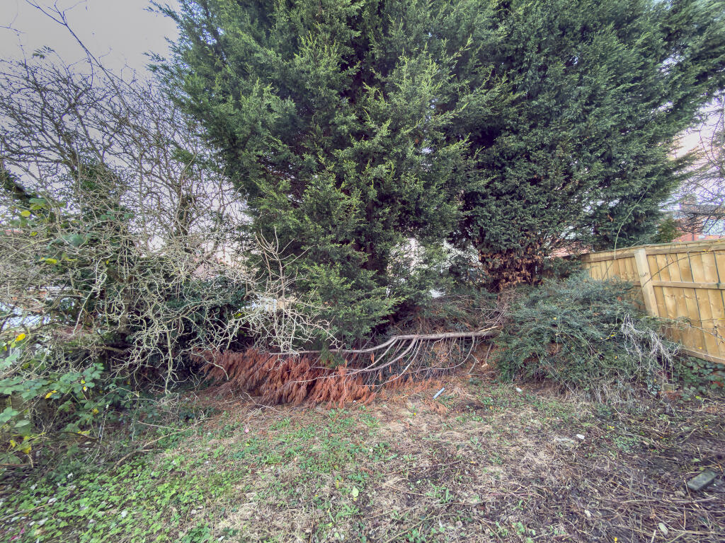 IMG 9327 T202512121005.jpg