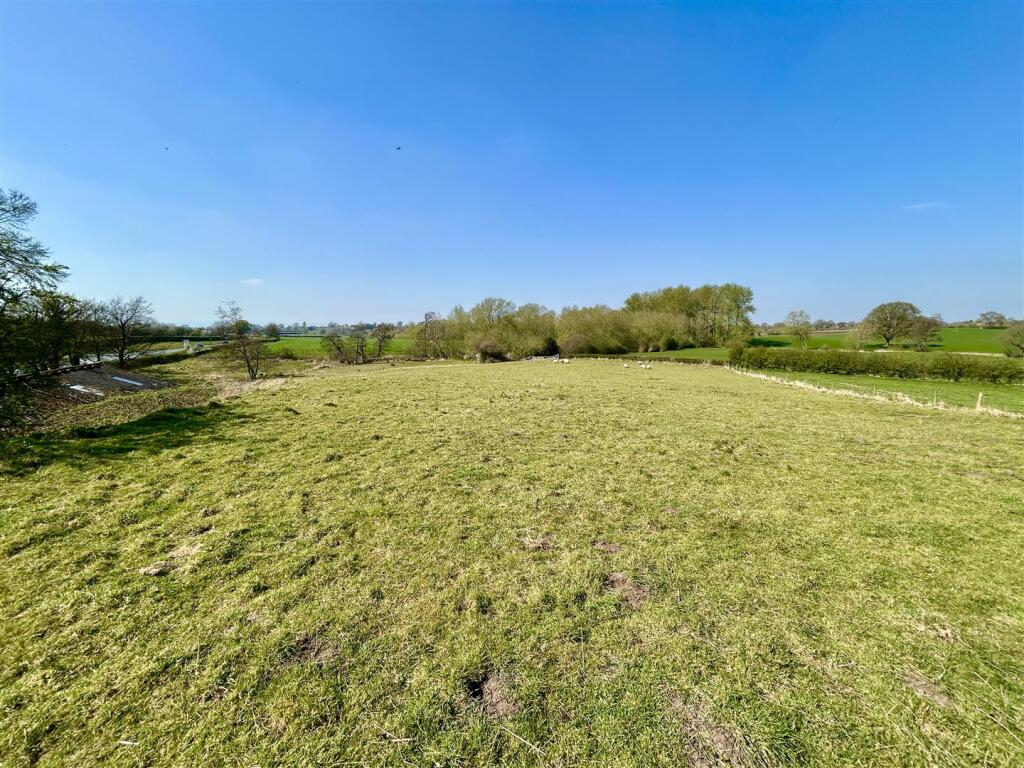 field 4.JPG