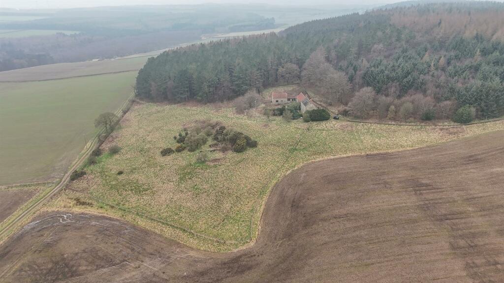 dji_fly_20240307_105822_0004_1709809632865_photo.j