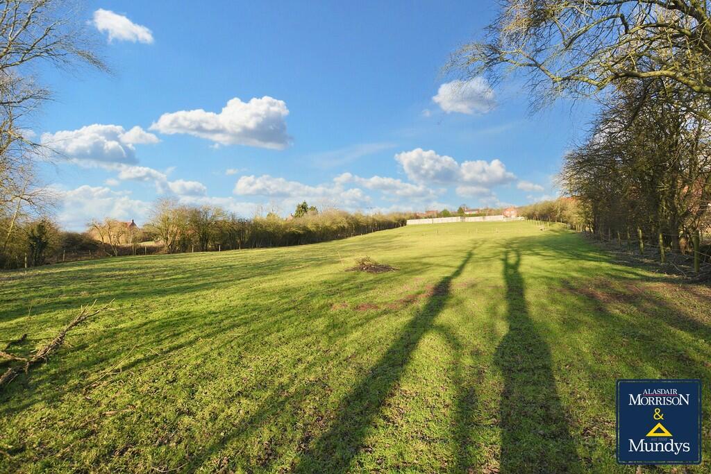 Field View