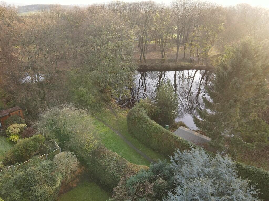 ponds