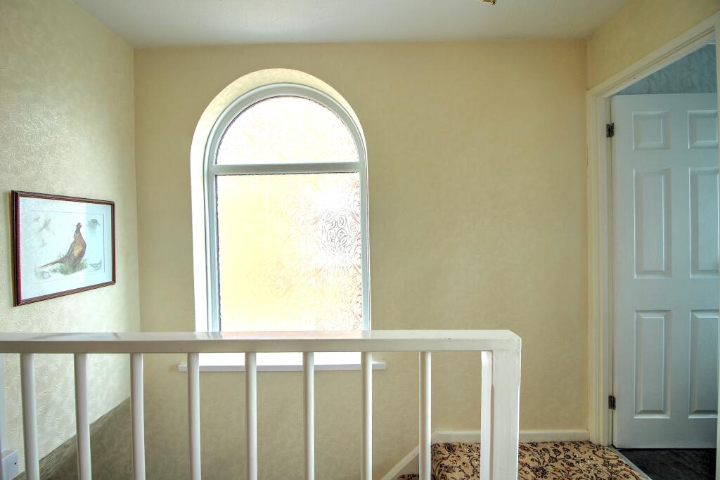 IMG_4650_1_2
