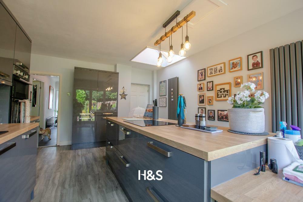 29 Lulworth - kitchen dog.jpg