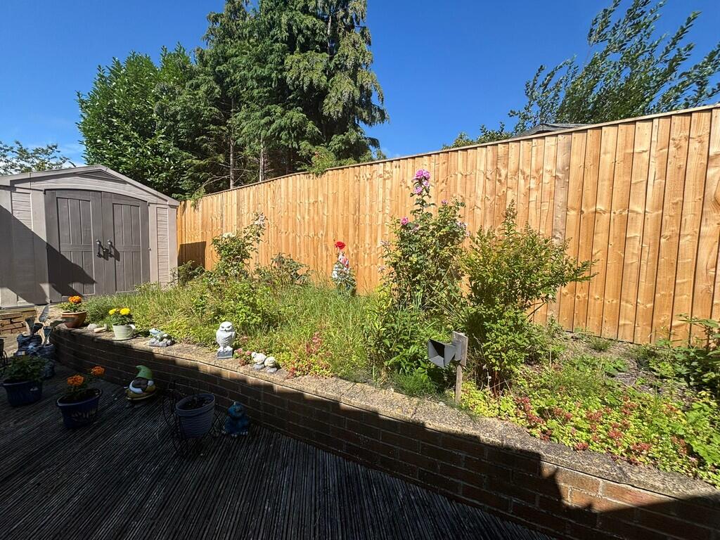 back garden 1