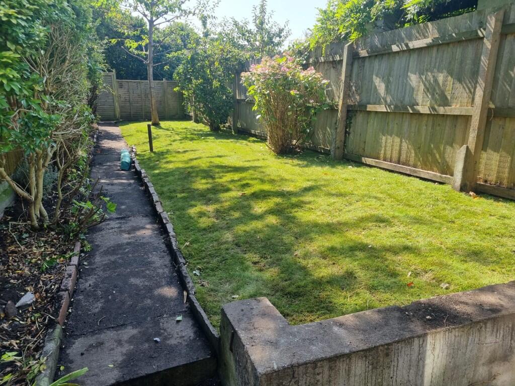 Back garden