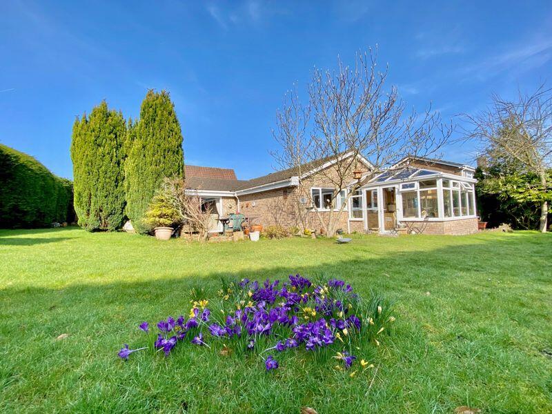 Another view of the Rear Garden