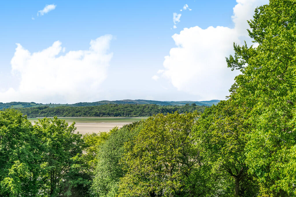 Far Reaching View...