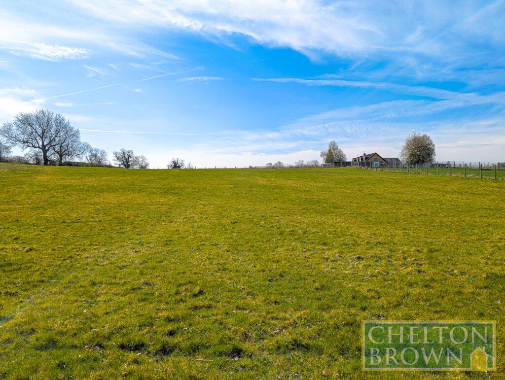 Field