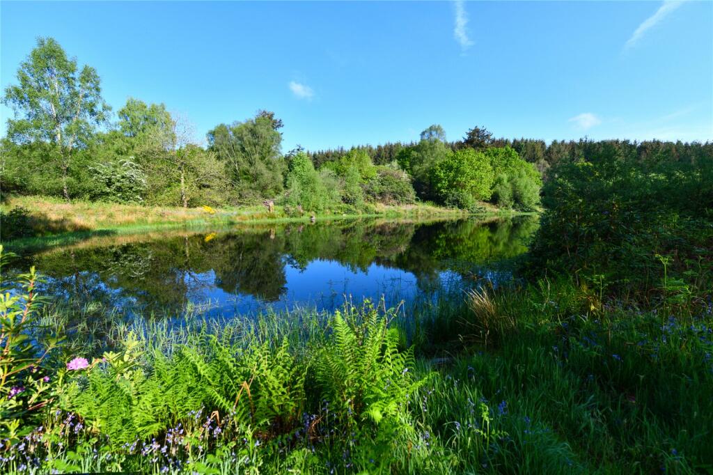 Pond