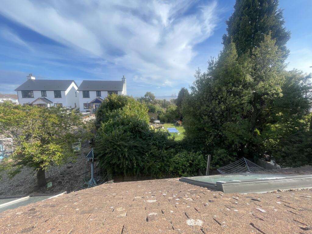 IMG 6118 T202504171737.jpeg