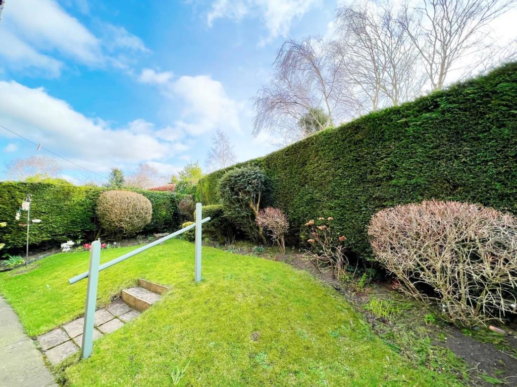 Garden pic 1.jpg