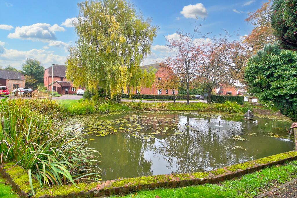 Pond area