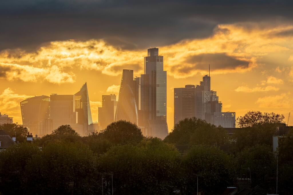 Skyline Views