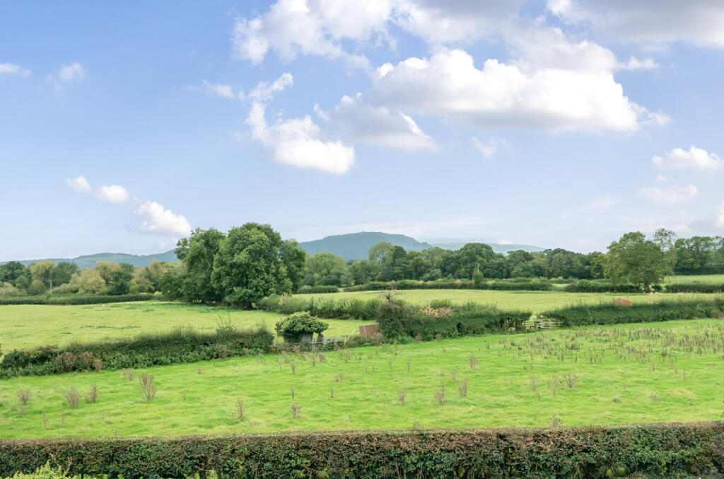 66fe56bf321d0-l-1194352 (12)