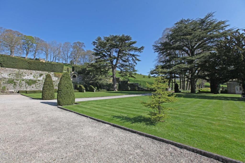 Front garden