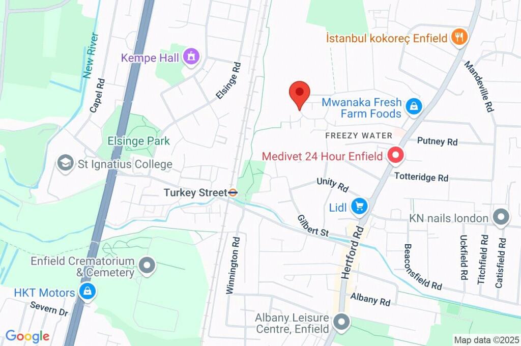Google Maps Image