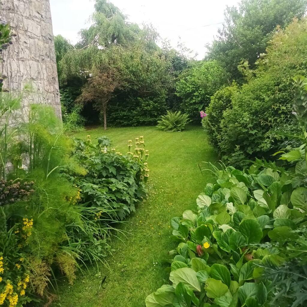 20240628_093237.jpg