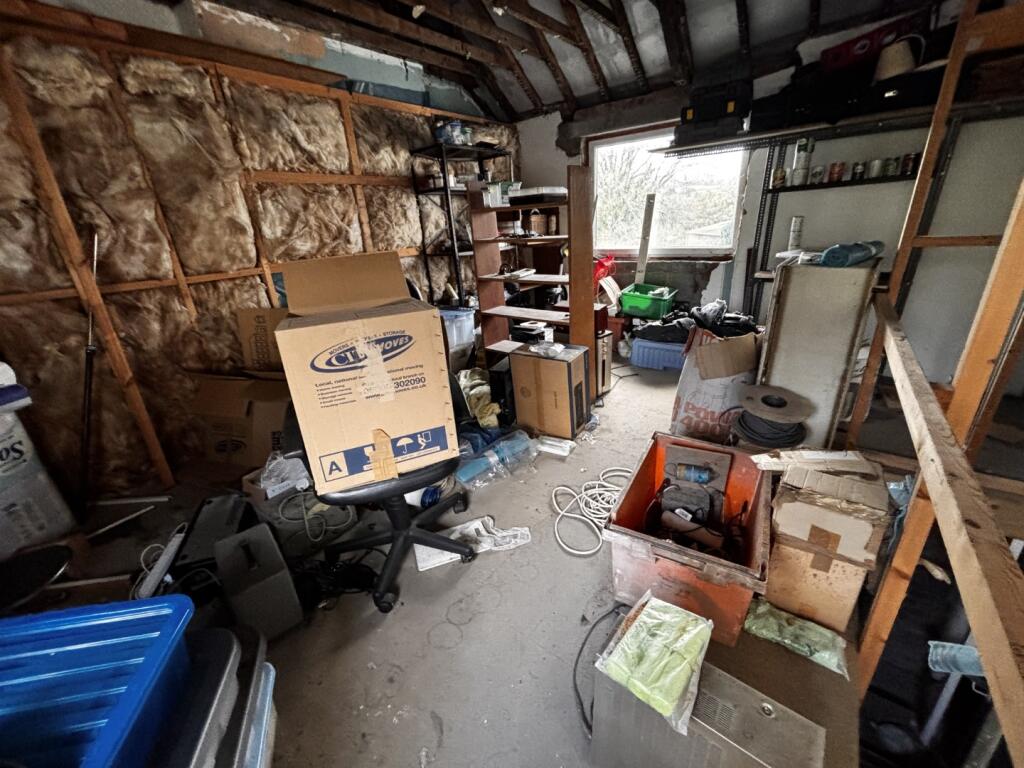 IMG 8196  Large  T202511031322.jpg