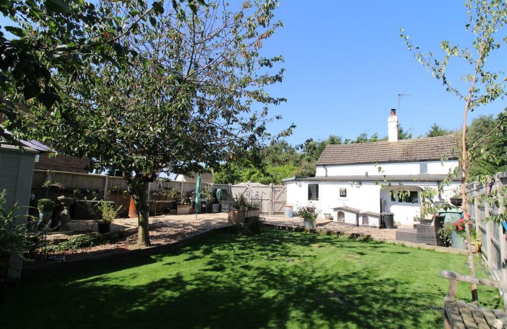 Rear View