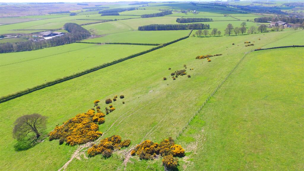 DJI_0473.JPG