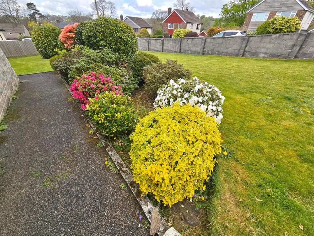 Garden Colour.jpg