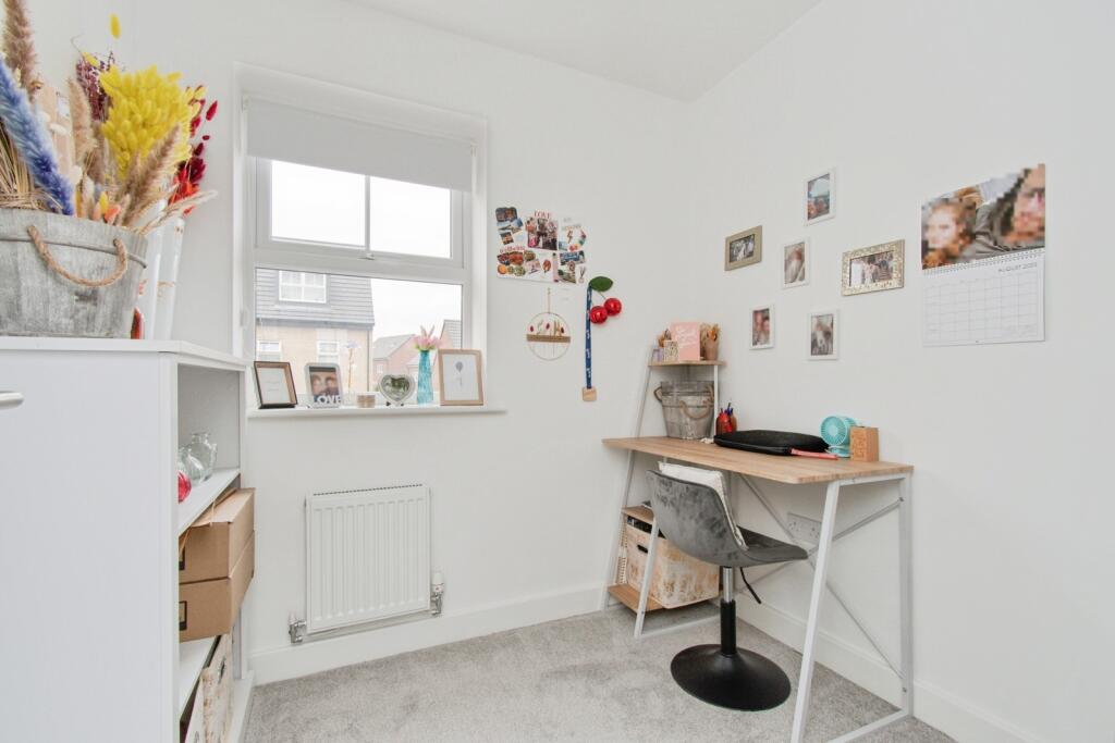 Study Area