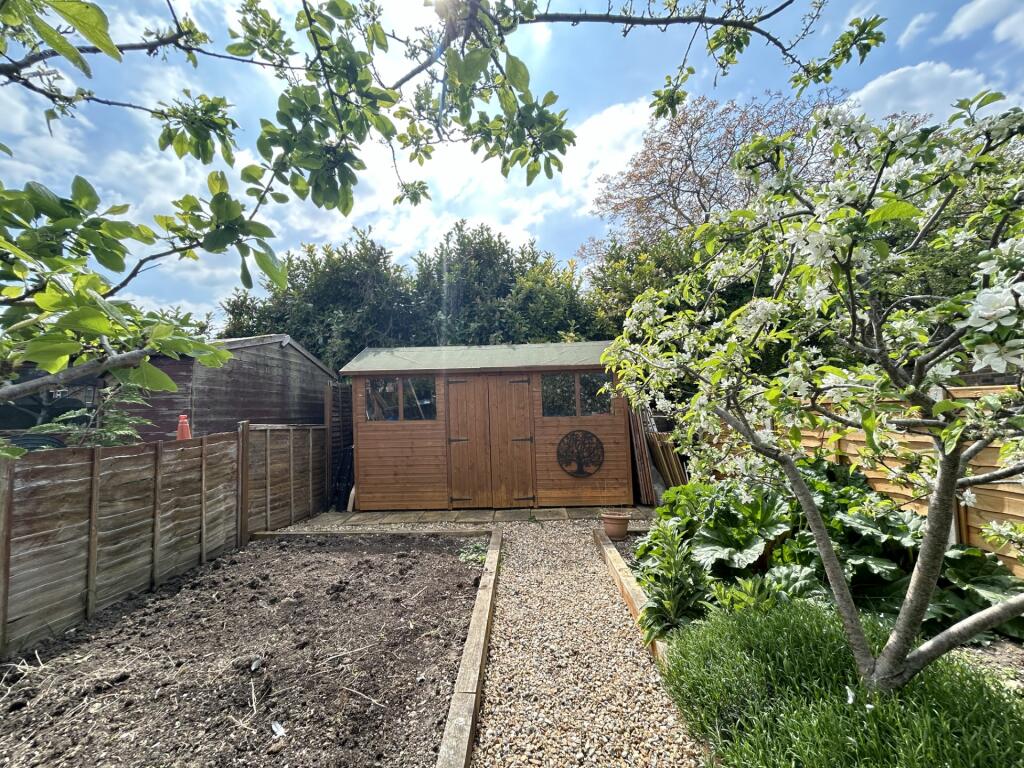 Garden 2