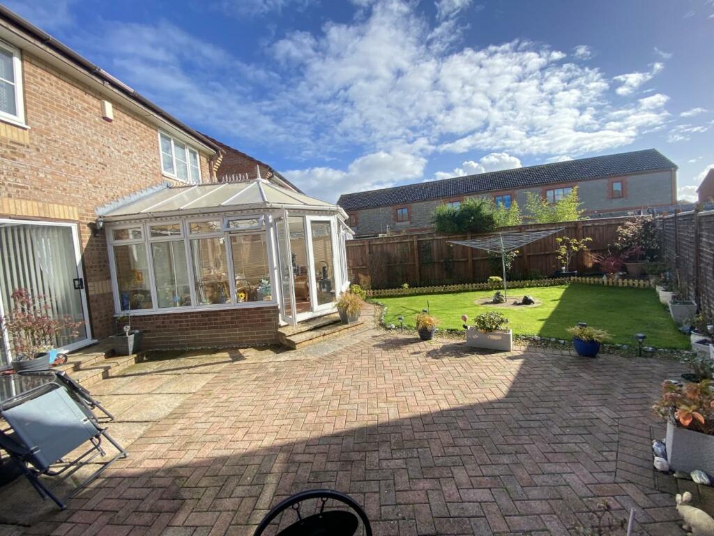 IMG_0597 (Large).JPG