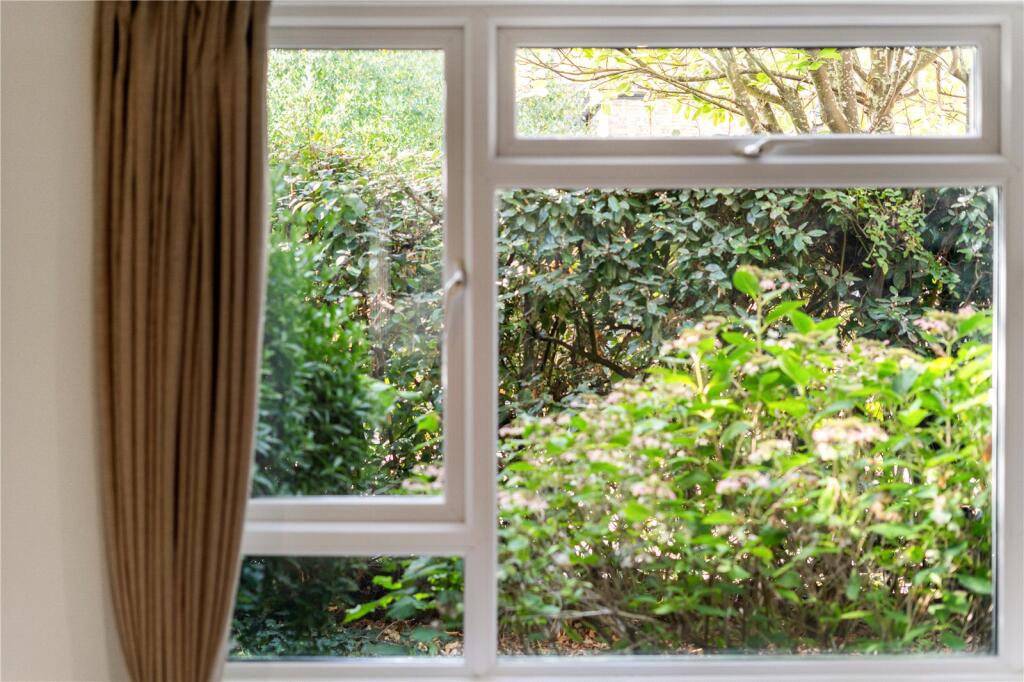 Window