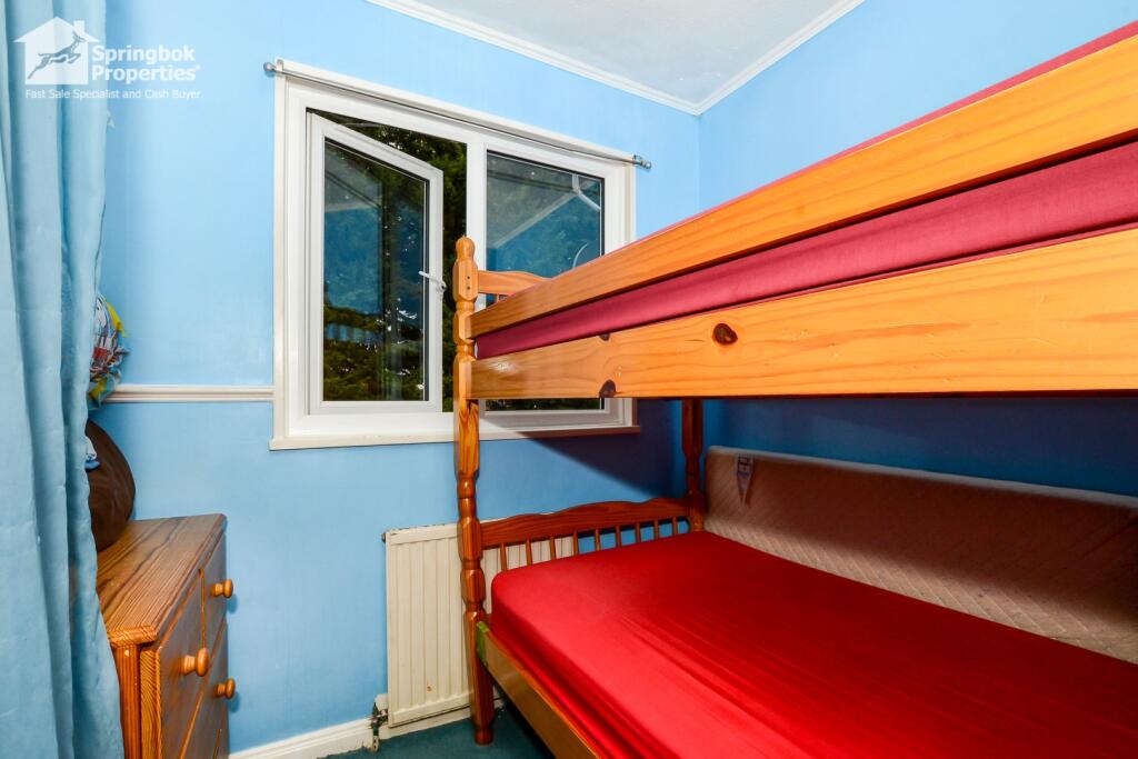 IMAGE 11