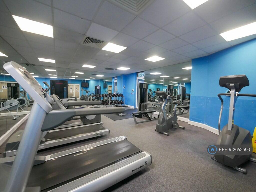 Gym In The Flats