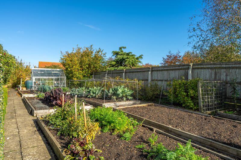 Vegetable garden