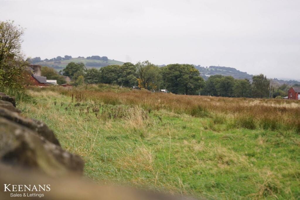 DSC00894.jpg
