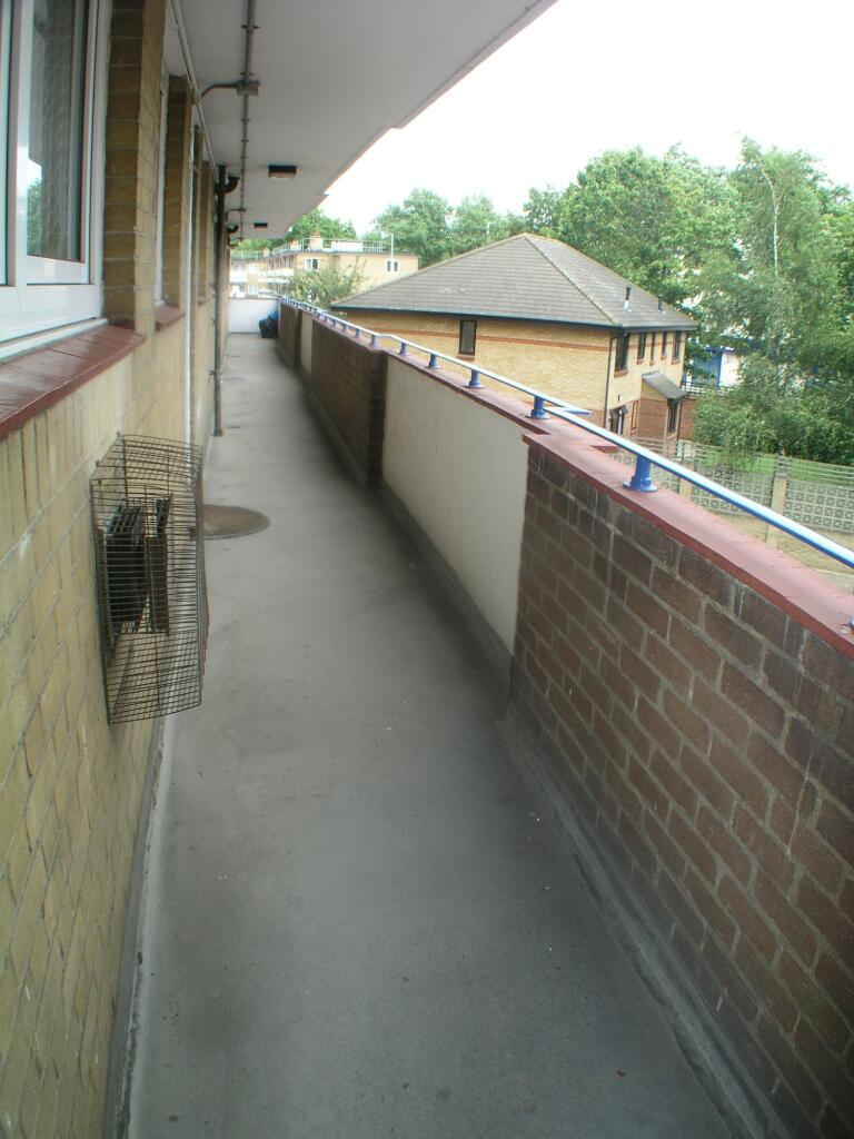 P1010023