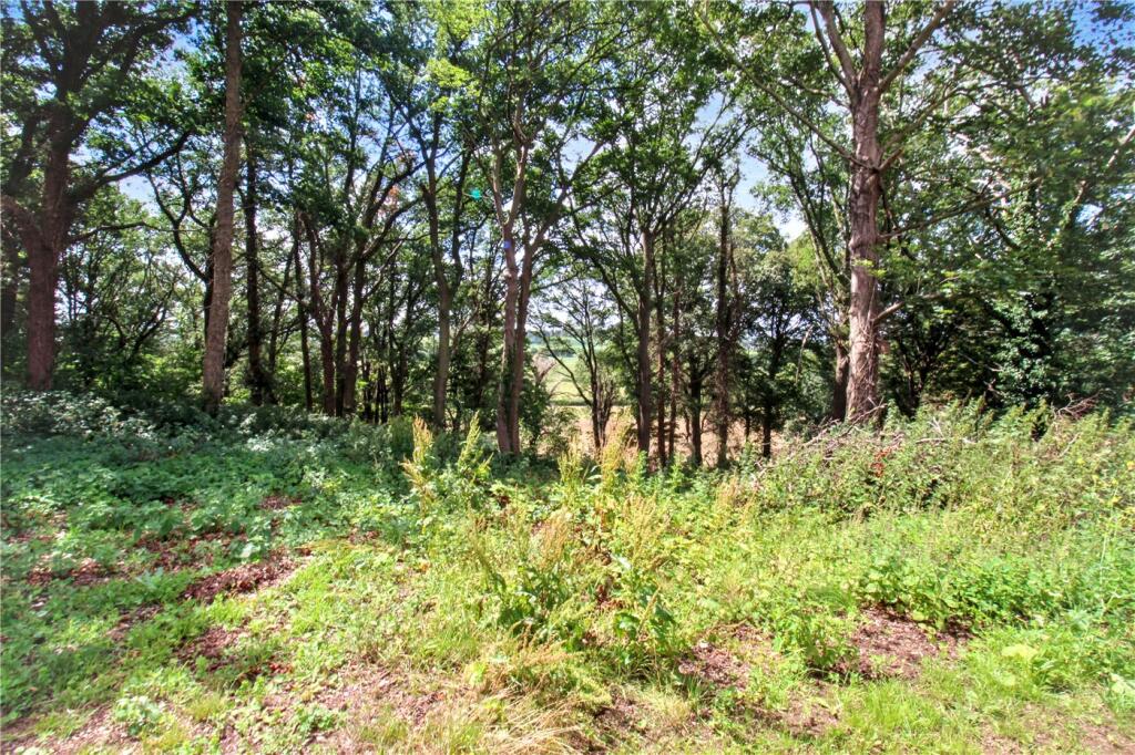 Woodland