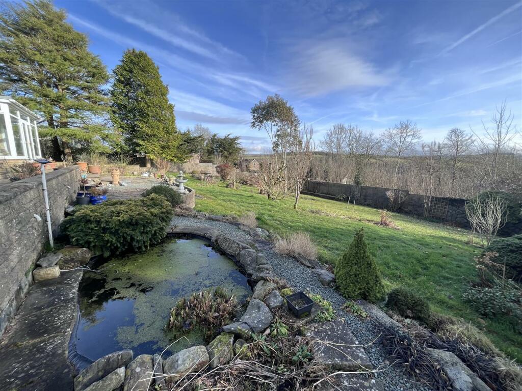 garden pond.JPG