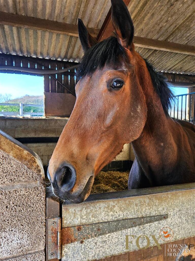 The Old Coach House (3).jpg