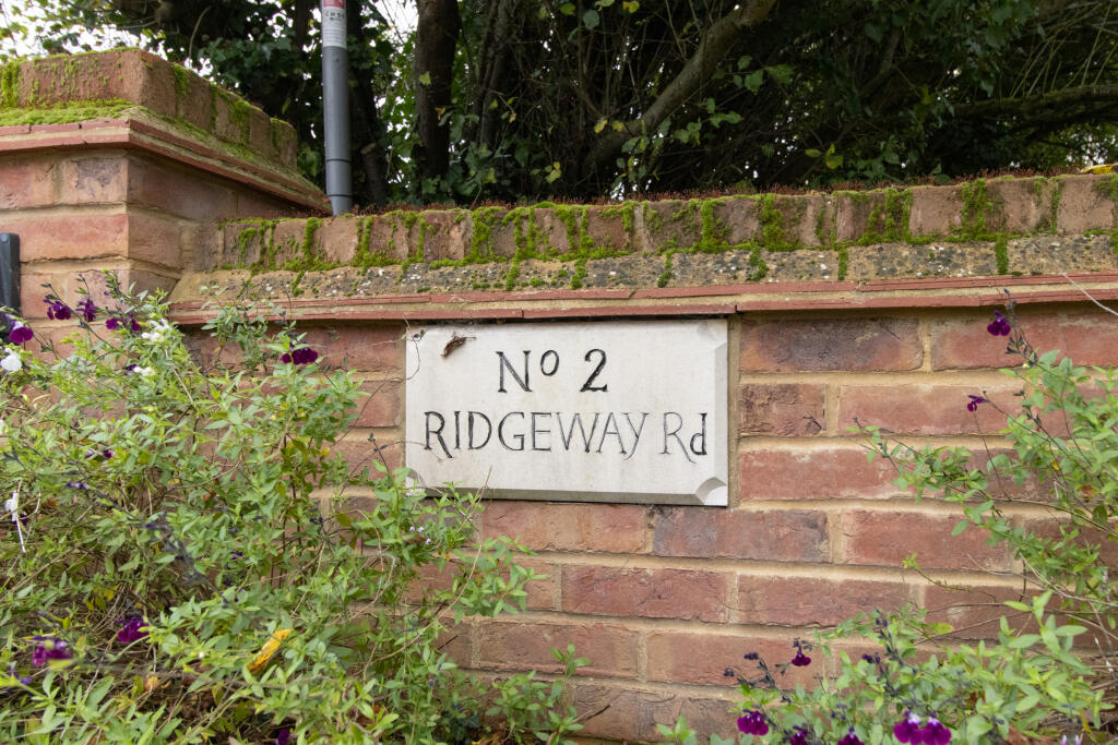Picture 14
