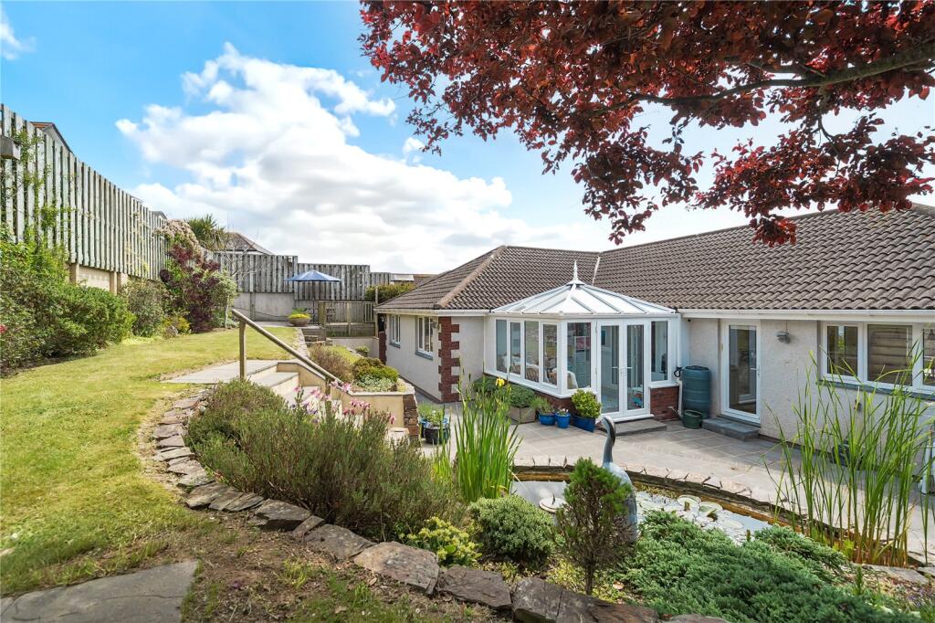 Back Garden