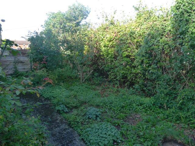 3 (Small) T202409251552.jpg