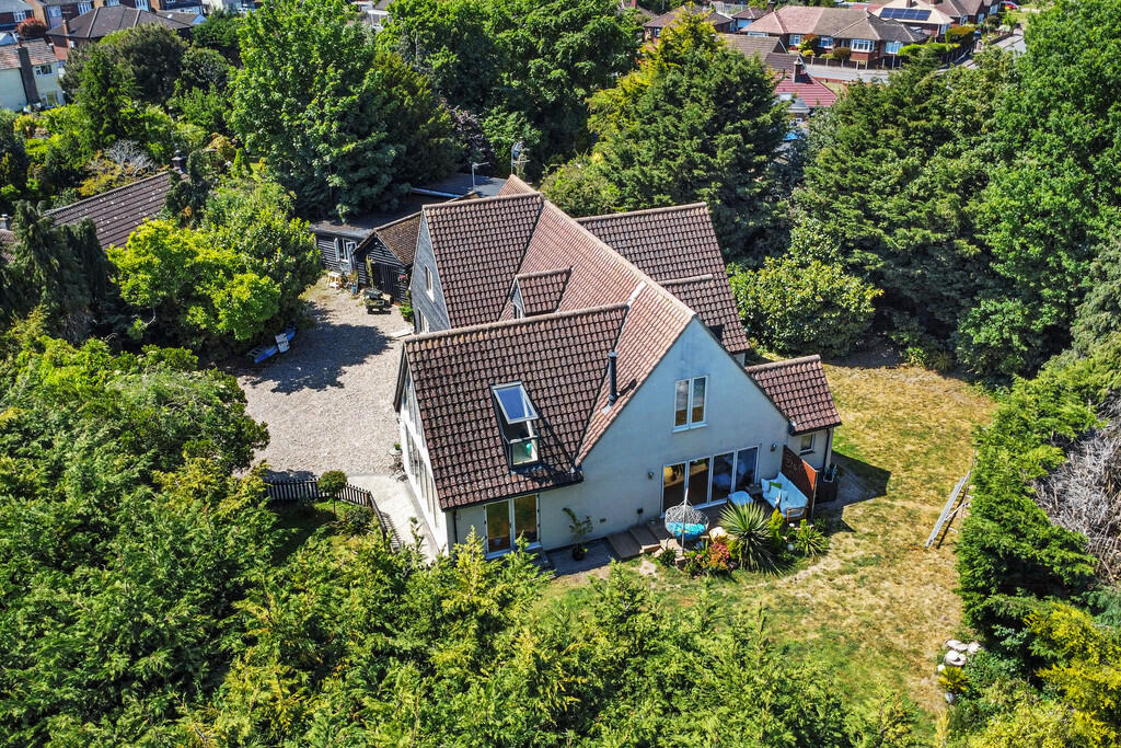 PT-FC(COL)-199Shr...